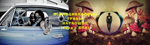 хмурый Вяземский