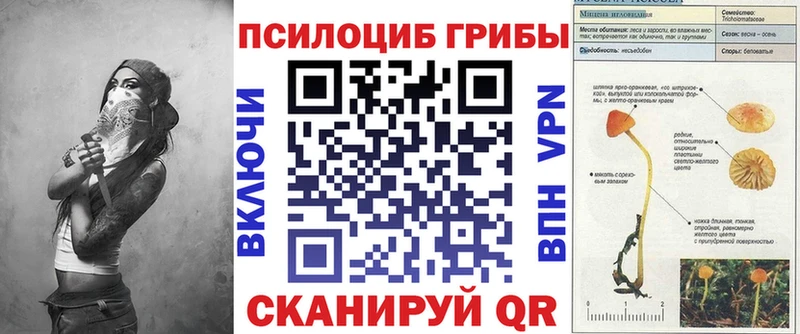 KRAKEN зеркало  Ермолино  Псилоцибиновые грибы мицелий  наркошоп 